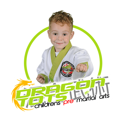 Dragon Tot Class Link